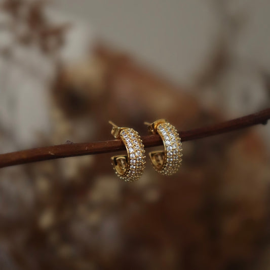 ARGOLLAS TINY