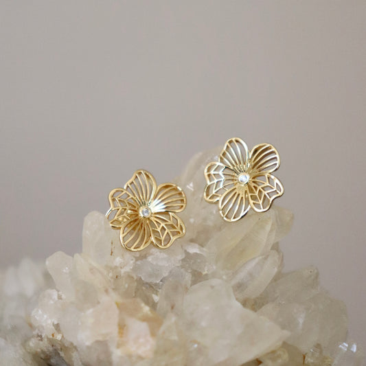 ARETES BRUNA