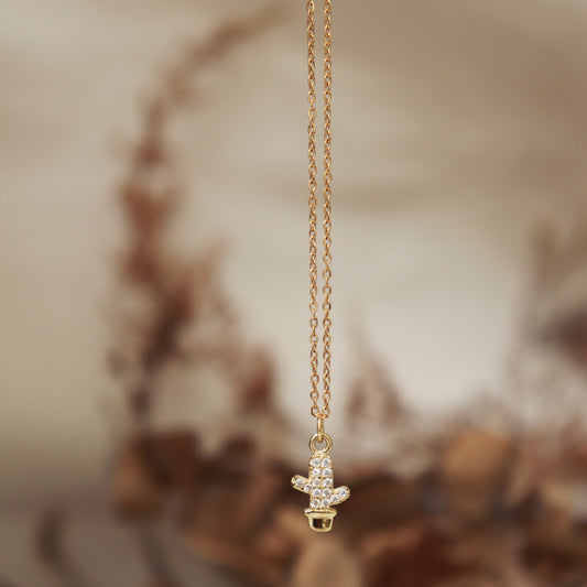 COLLAR CACTUS